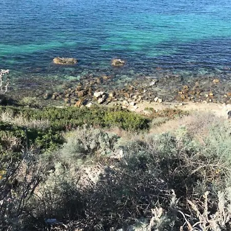 Celeste * Cagliari